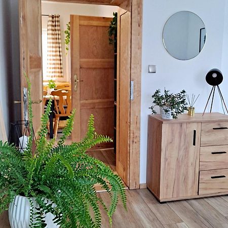 Apartament Dzika Roza Kowary Exterior foto